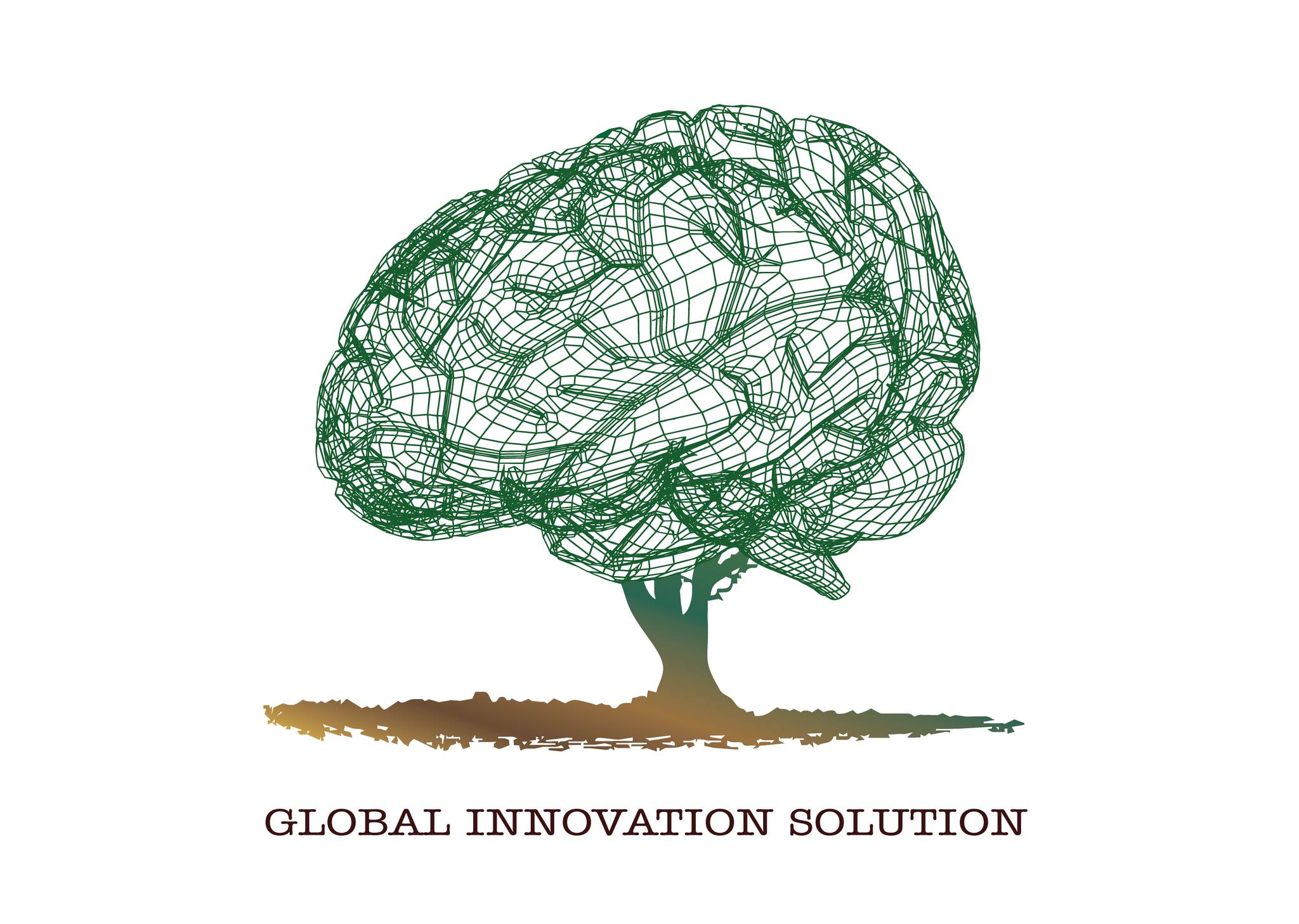 Global Innovation Solution