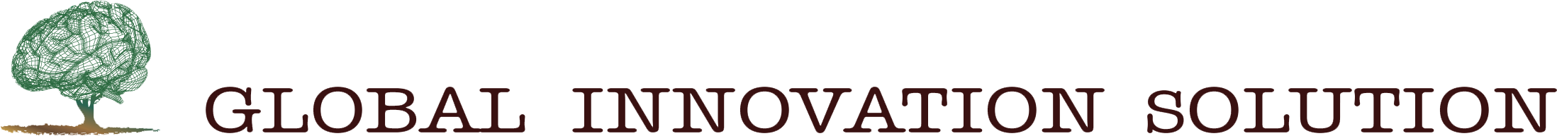 Global Innovation Solution